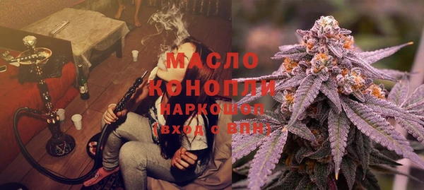 индика Армянск
