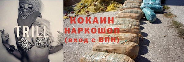 индика Армянск