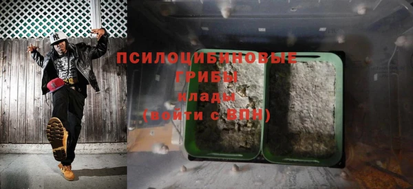 индика Армянск