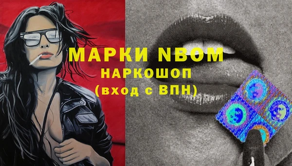 индика Армянск