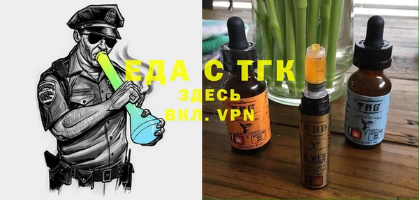 индика Армянск